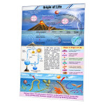 Origin of Life